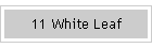 11 White Leaf