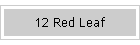 12 Red Leaf